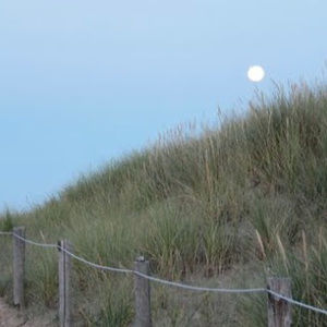 Meet your Posher, Sierra